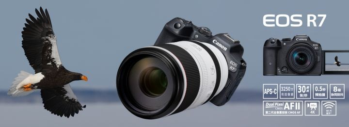 佳能全画幅微单rp和r6的性能区别,佳能相机r7与r6区别