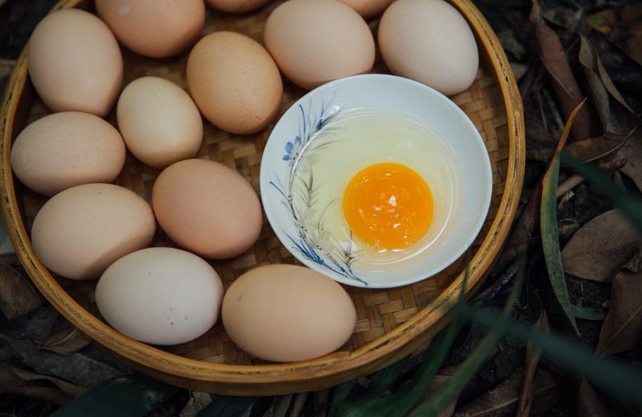 洛阳爬行娃小丁养鸡报答养父近况,用双手爬行30年养鸡为养父盖新房