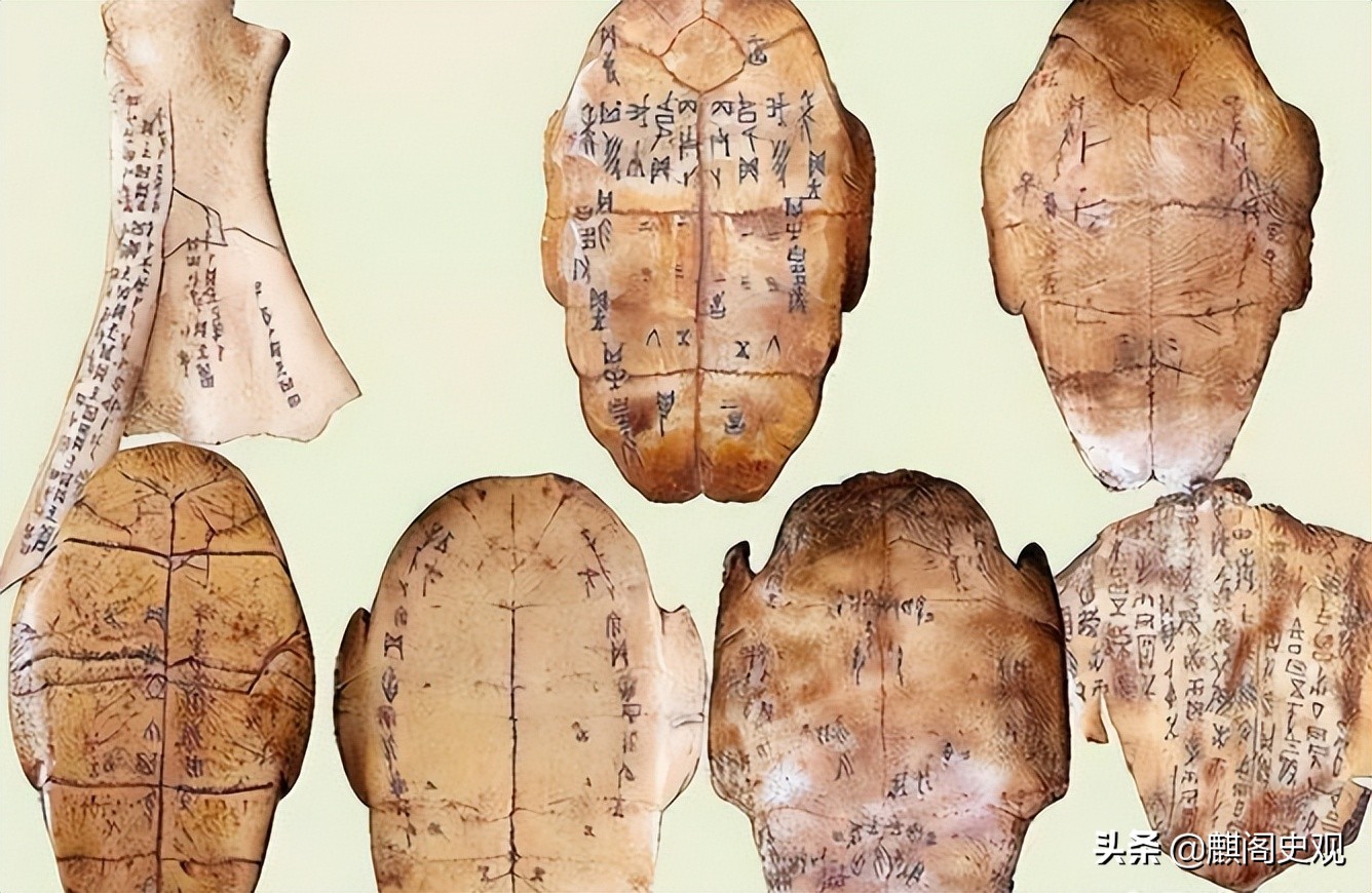 四川考生用甲骨文写作破格录取,甲骨文写作文被川大录取