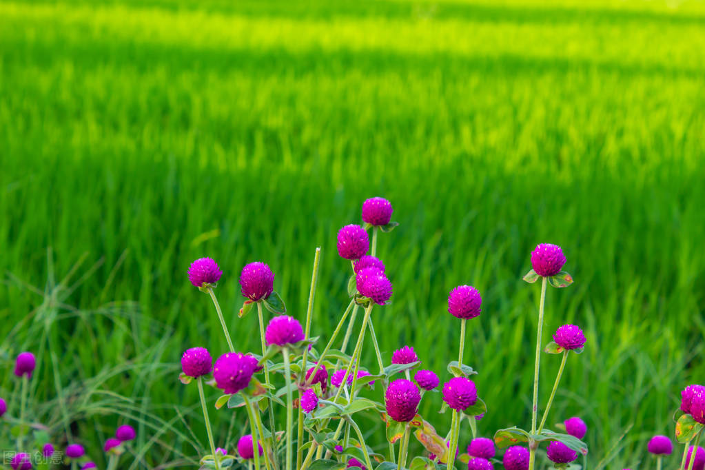 超伤感的神仙文案句句说到心坎,个性签名文案高级感温柔文艺短句