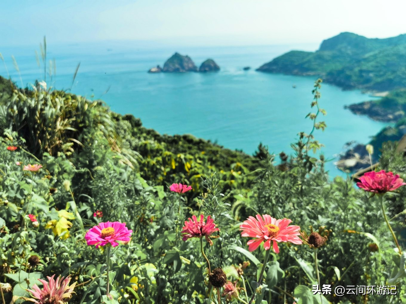 枸杞岛哪里看日落,去枸杞岛看蓝色的海