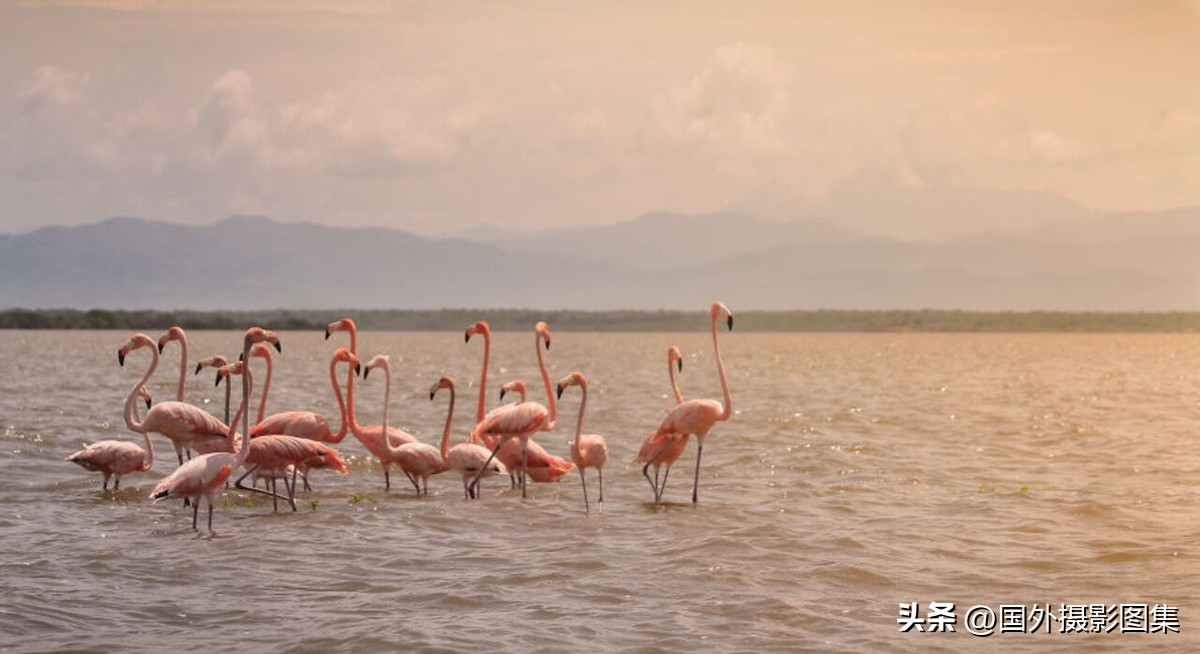 世界顶级唯美人像摄影师,世界顶级自然摄影师作品