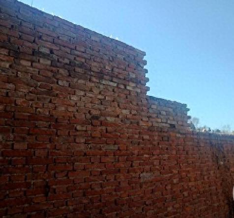 家暴女婿被全家反杀,家暴男打老婆致死案