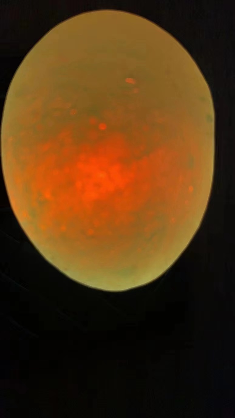 欧泊石手串,欧泊石紧急出售