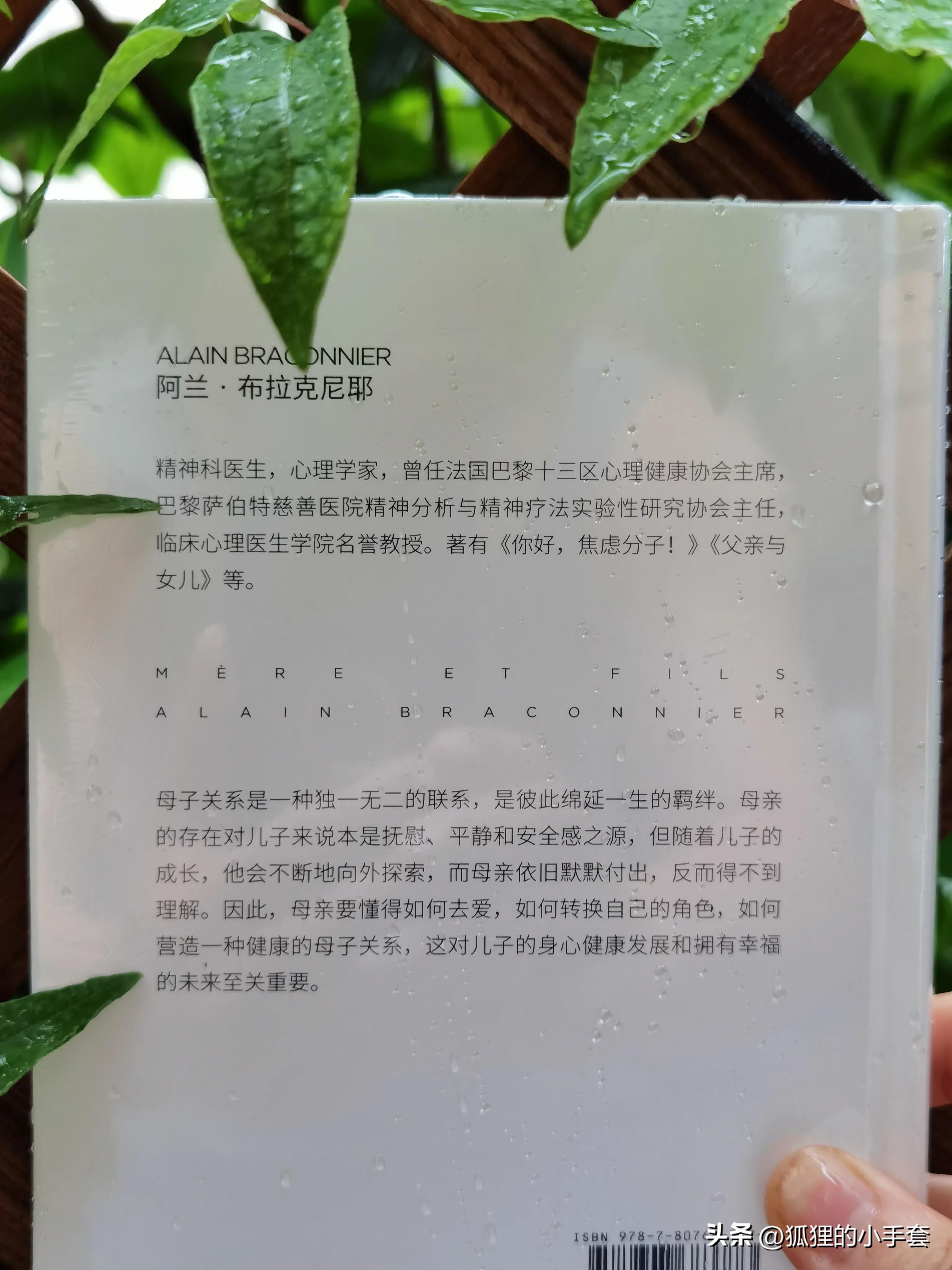 母子之爱不是原罪