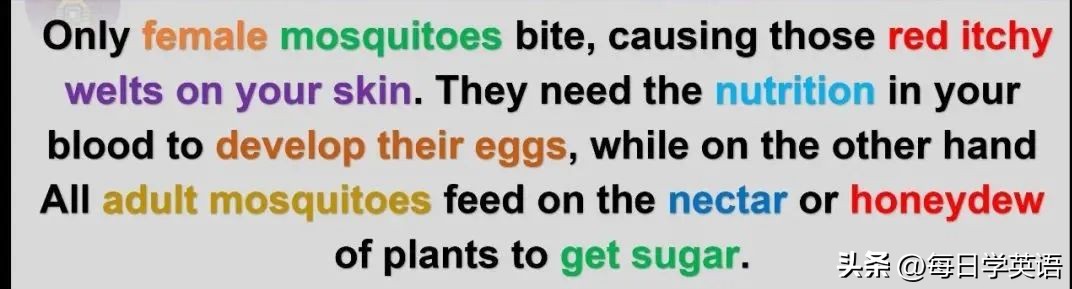 花露水英文怎么读啊,花露水的英文怎么说