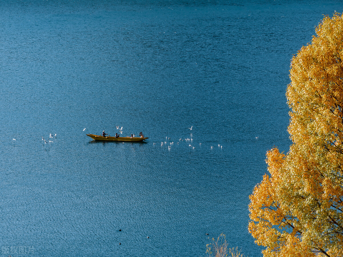 重庆邮电大学考研难度，我们一起来看看