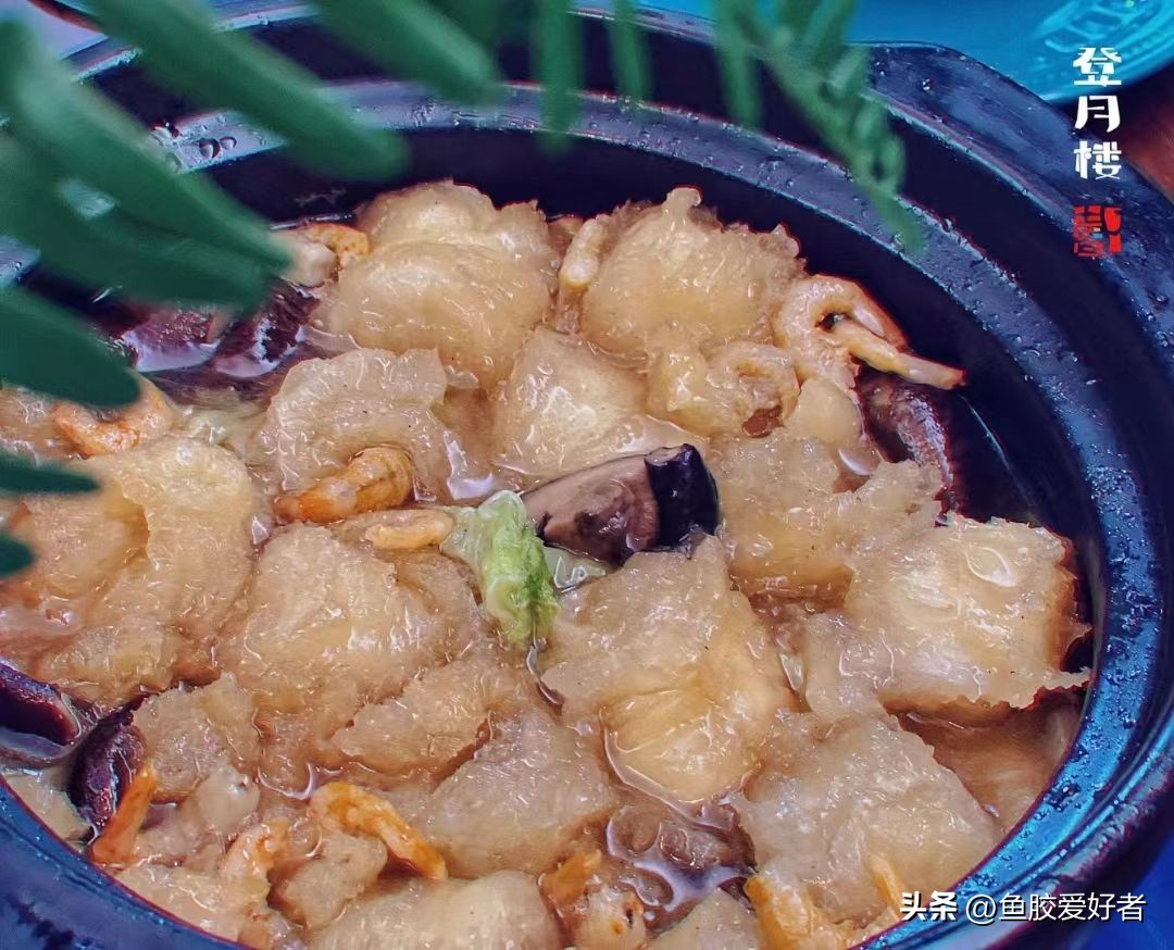 鱼胶哪种最适合普通人吃最亲民,科普鱼胶营养价值