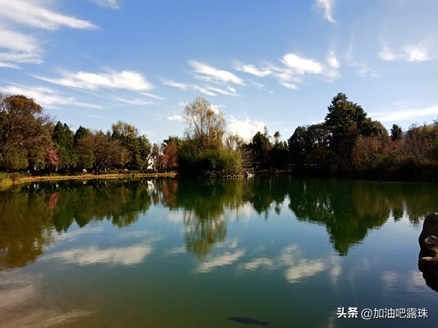 父母对女孩子最高级的富养,对孩子最大的富养就是父母感情好