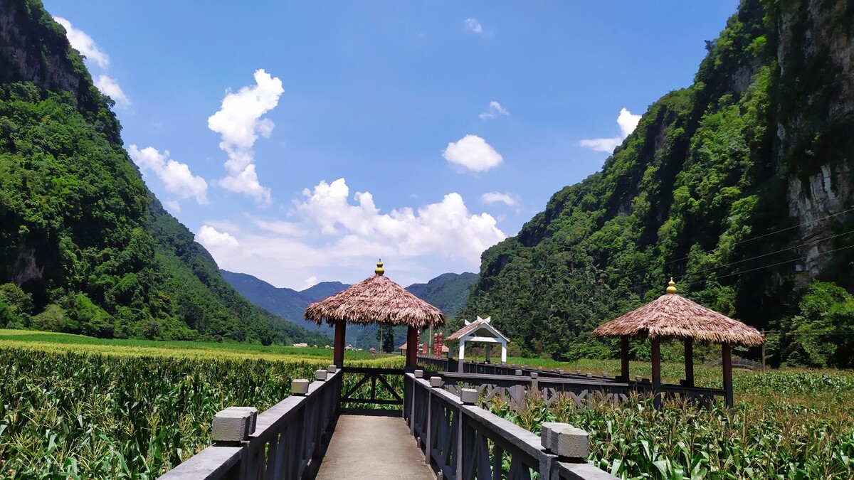 酷热难耐的八月即将过去,天气太热了回云南避暑