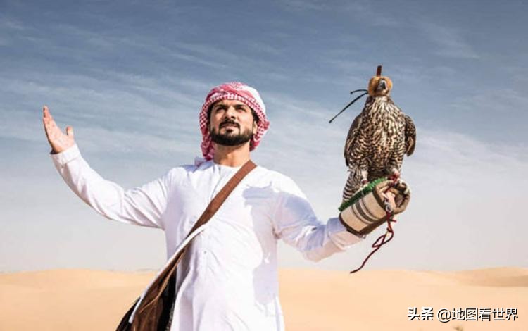 2022卡塔尔世界杯在哪个城市举办,世界杯2022卡塔尔都有哪些国家