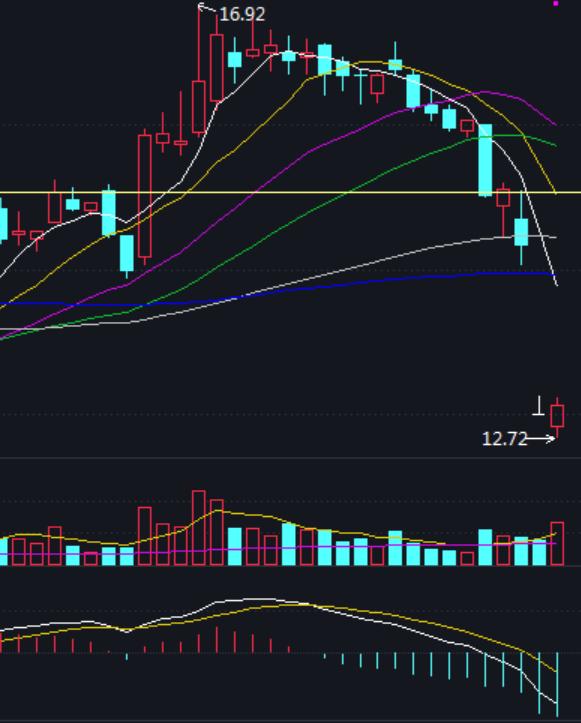 随心动含义,随心意交易软件怎么样