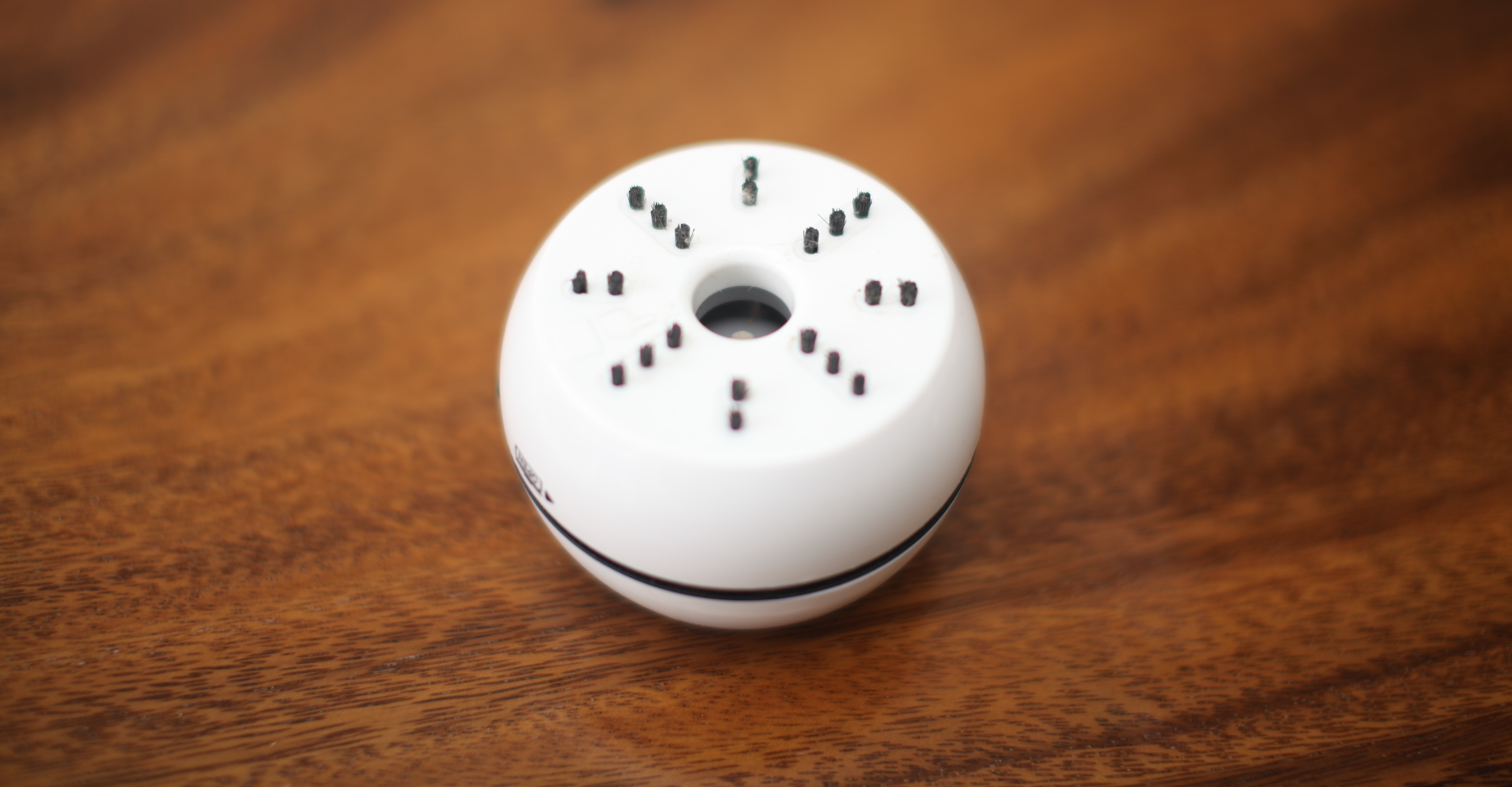 迎新年打扫卫生全攻略,迎新年打扫卫生的意义