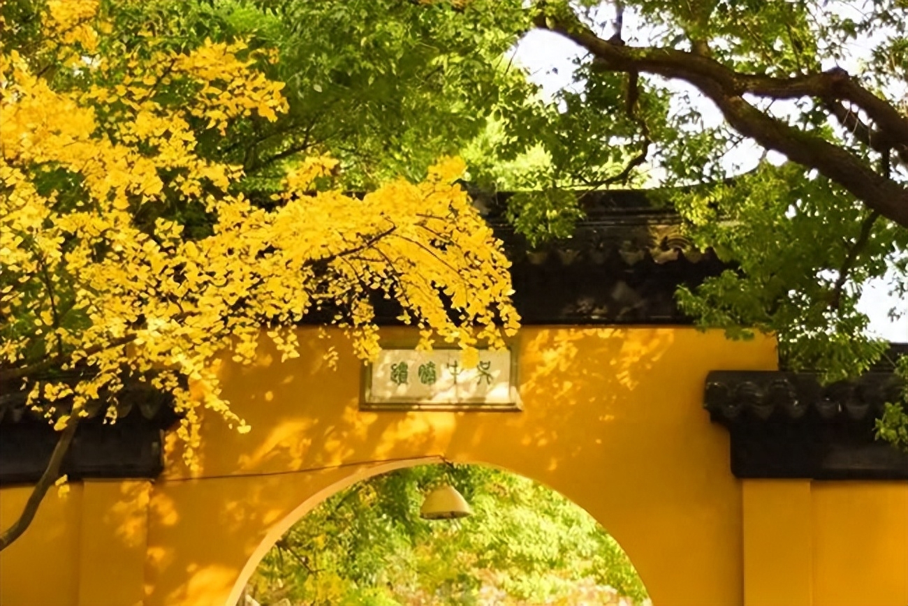 苏州秋天的美,一起感受秋天的苏州