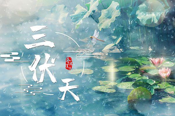 三伏天湿气较重宜吃什么,三伏前吃它百病都干垮