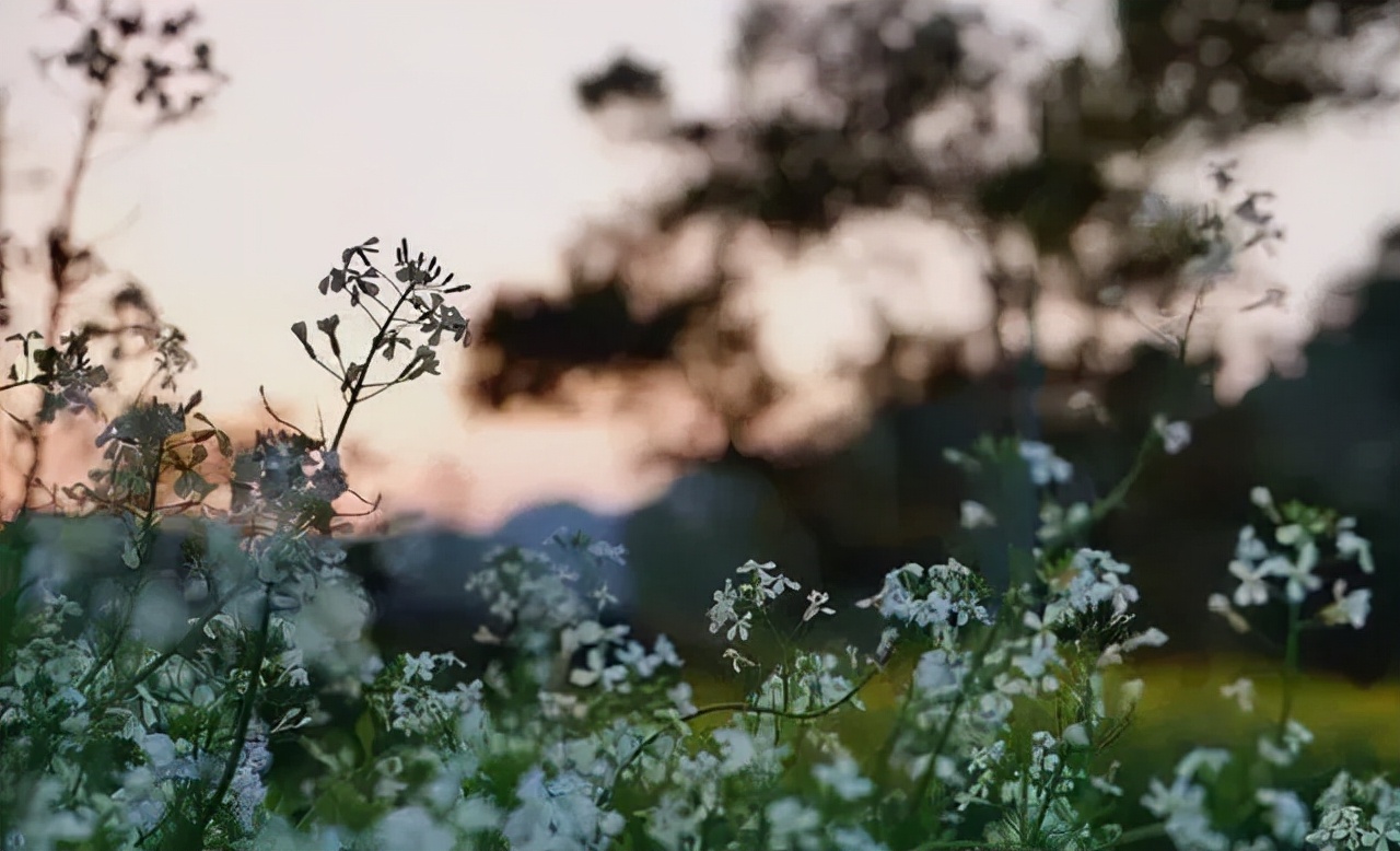 一个院子，一家民宿，闲度余生