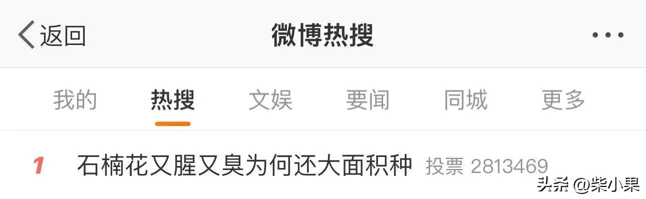 石楠花为啥那么多,石楠花为啥是生命之花