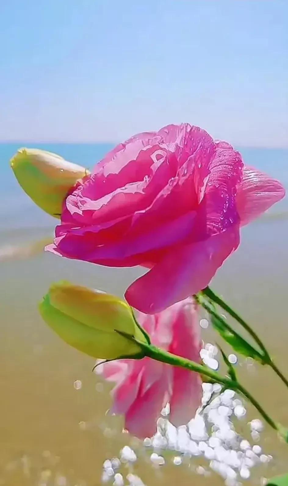 现实的社会很残酷没有钱就没有路,现实生活很残酷没钱没房