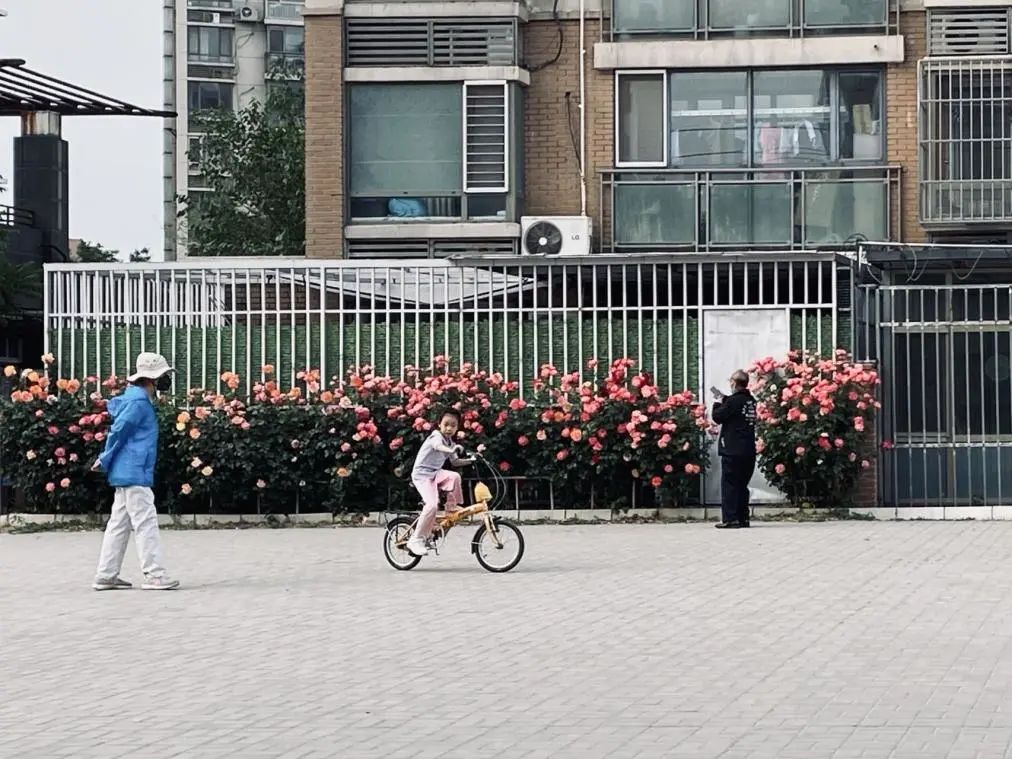 铭记！2022留给你的最后的浪漫