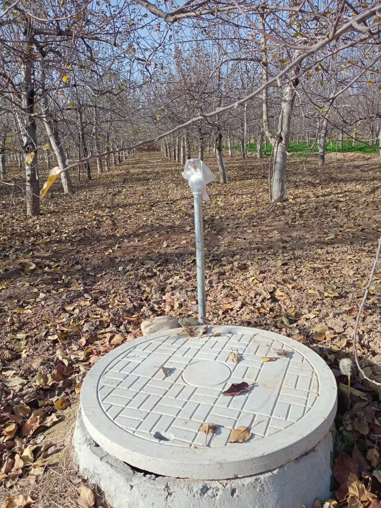 古树、土塔、苍柏、沟壑……