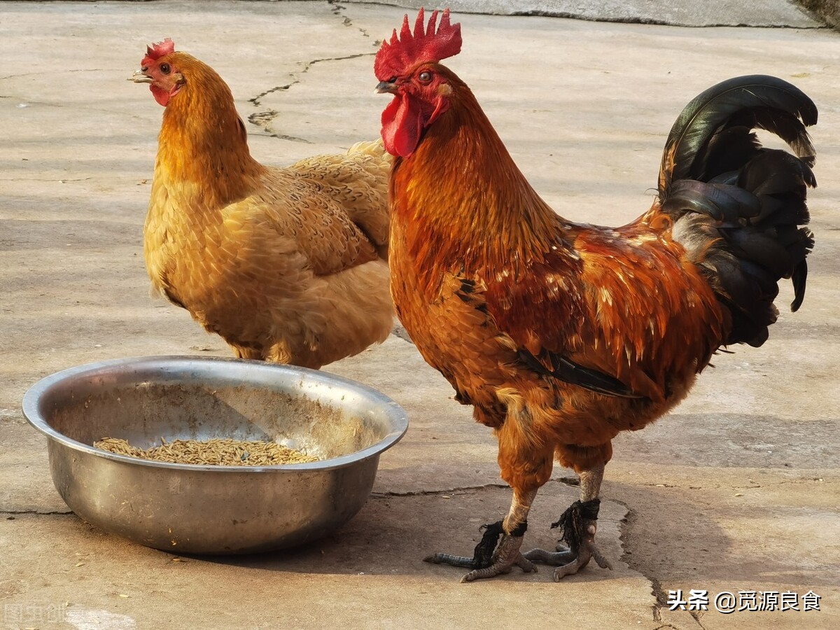 选购年货三大注意,买年货必不可少