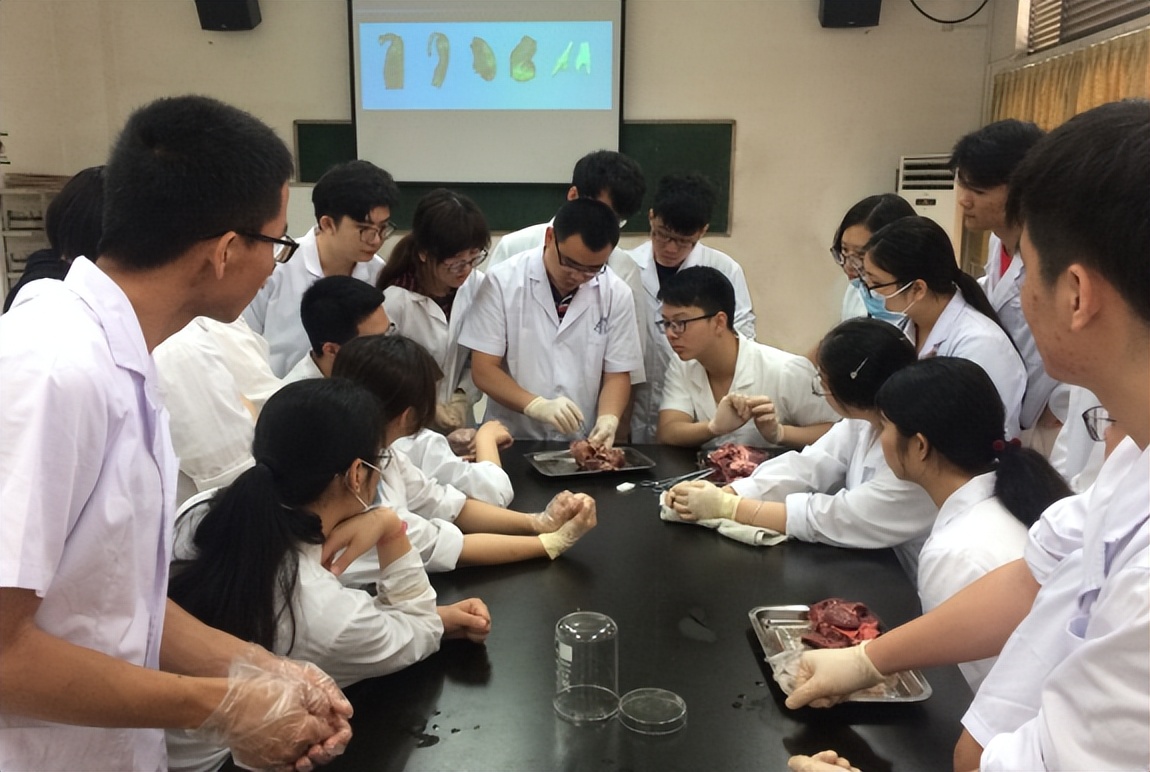 公检法专业就业方向及前景,学什么专业将来能去公检法工作