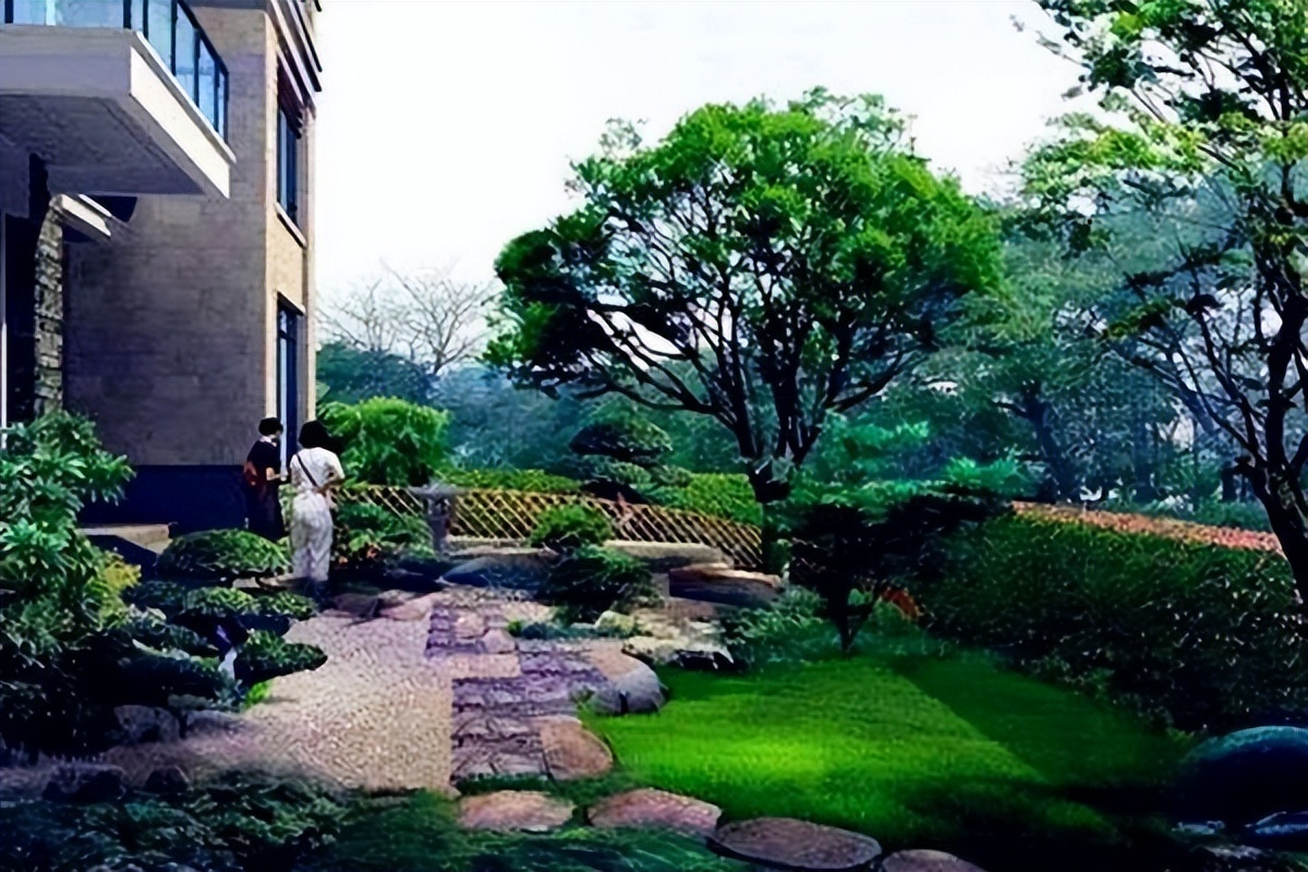 院里不栽三棵树,庭院里种一棵大树有什么说法