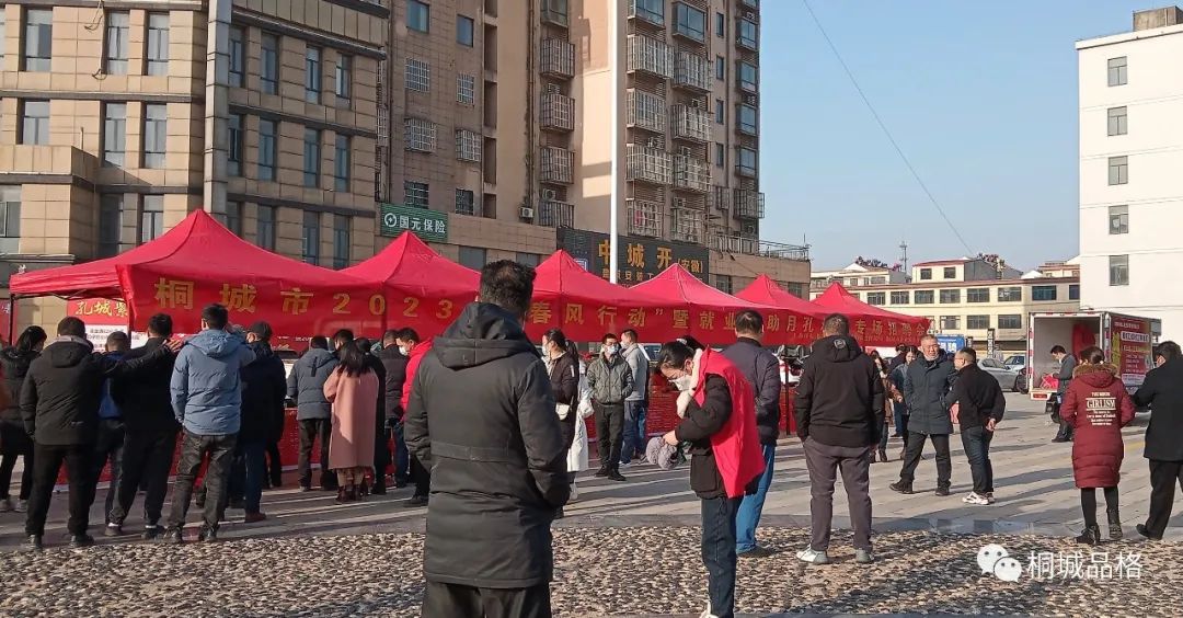 桐城纵横人力抖音,纵横人力桐城