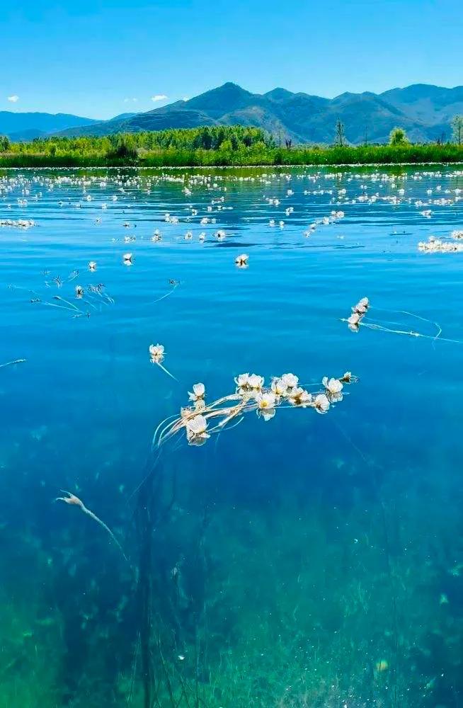 这辈子要去的50个景区