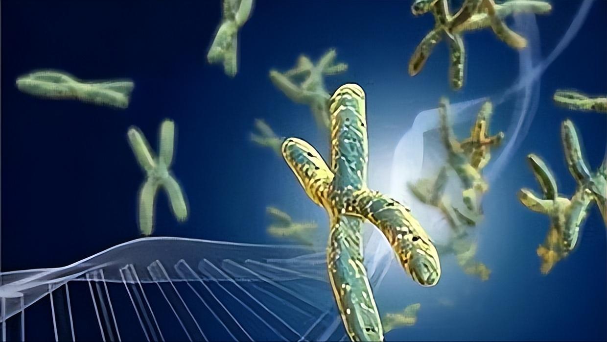 闭经是不是指一直没来,为何女性容易出现月经不调的问题