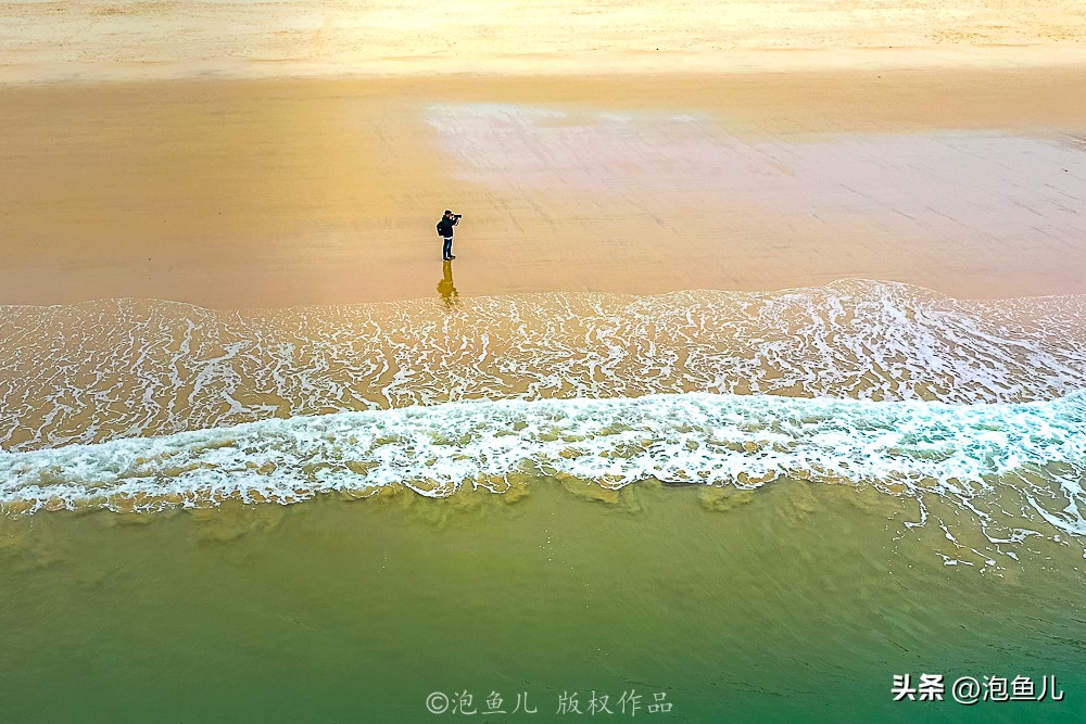 福建蓝眼泪奇观游玩攻略,福建蓝眼泪是哪个旅游景点