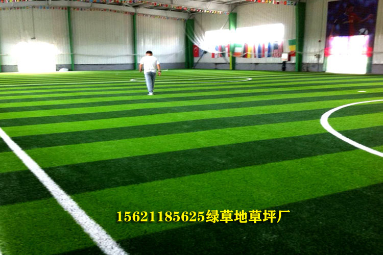 5人制足球场人造草坪,足球场人造草坪免填充