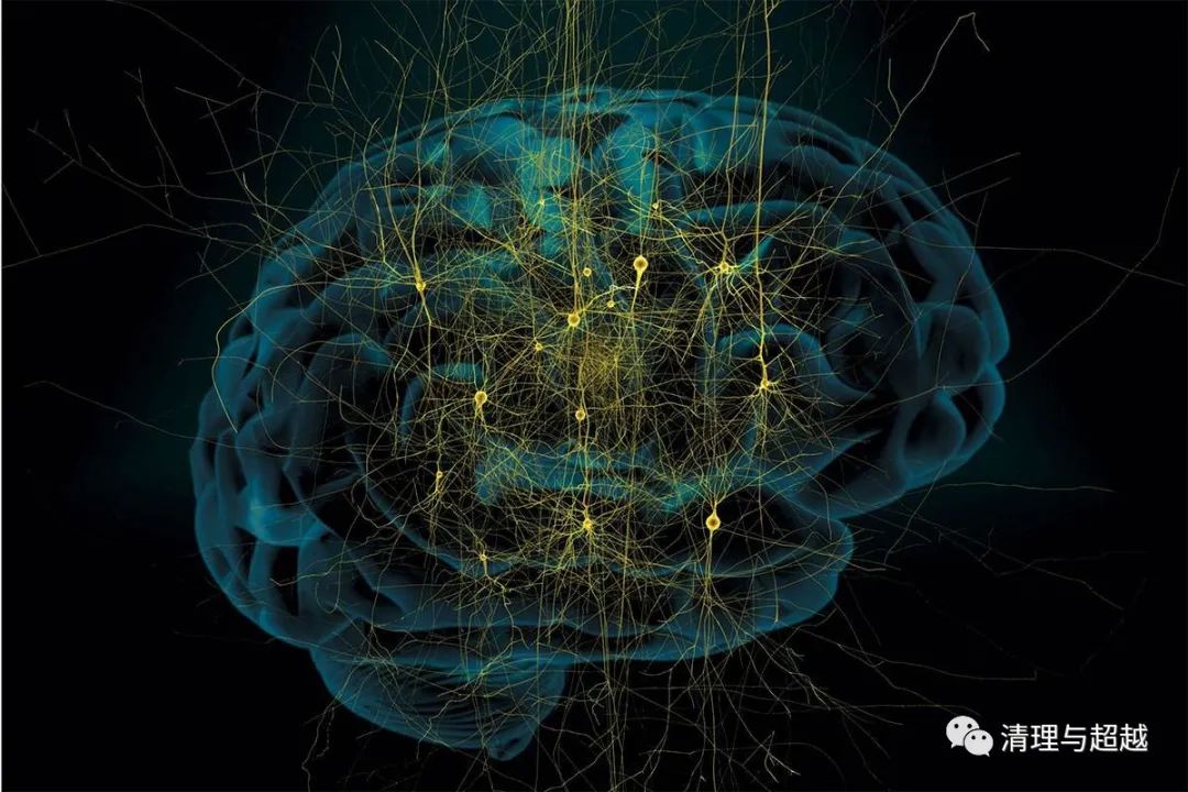 聂锦芳｜作为思维和阅读方式的“唯心主义”