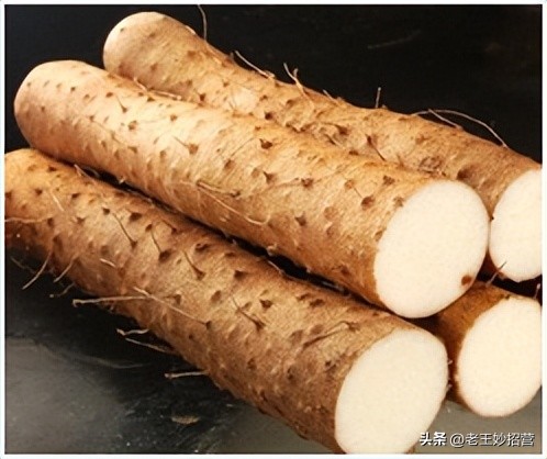 汽车内有异味如何去味,生活小妙招去除车内异味