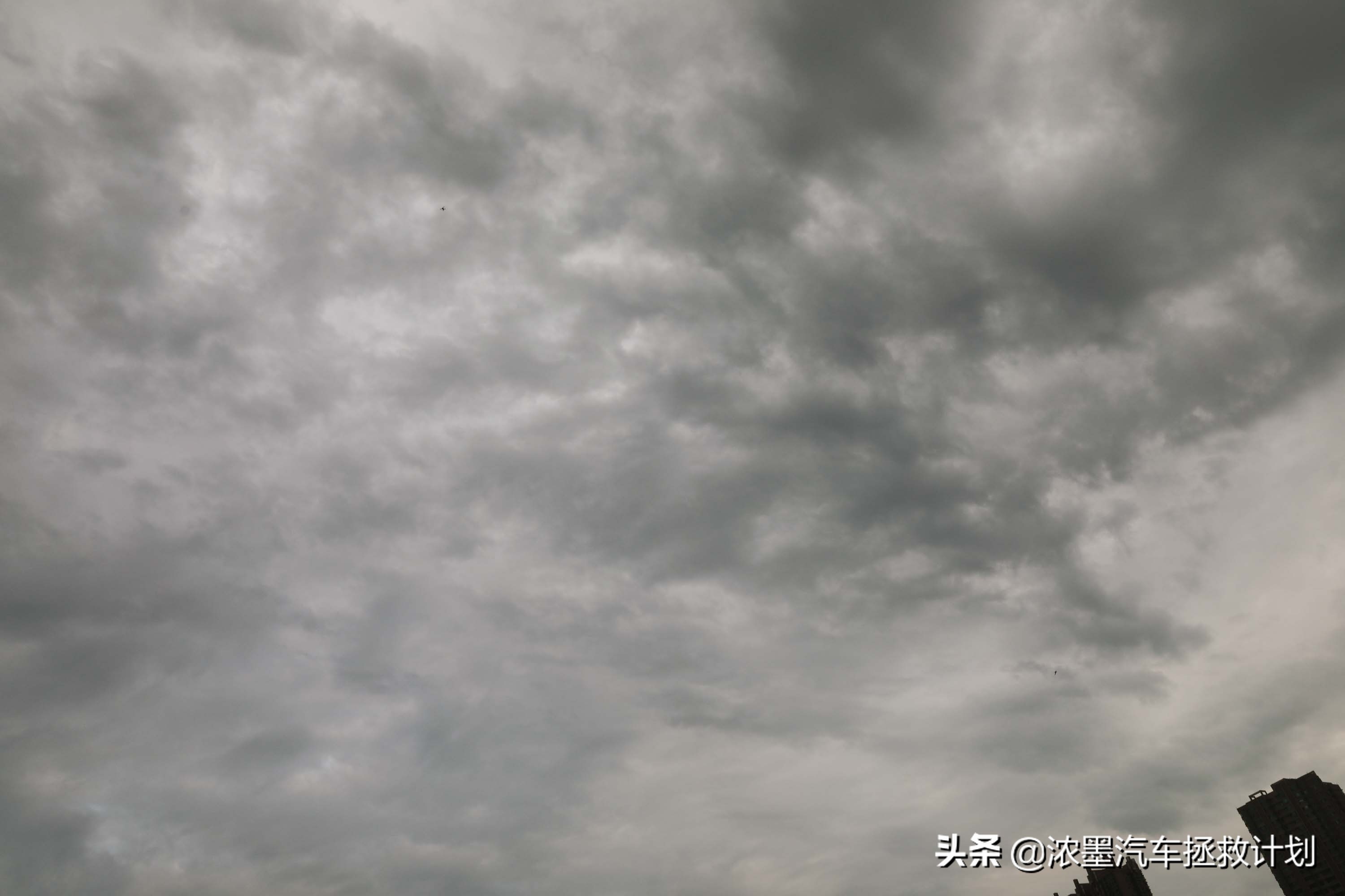 完美复活全集完整版,最新款大众r36