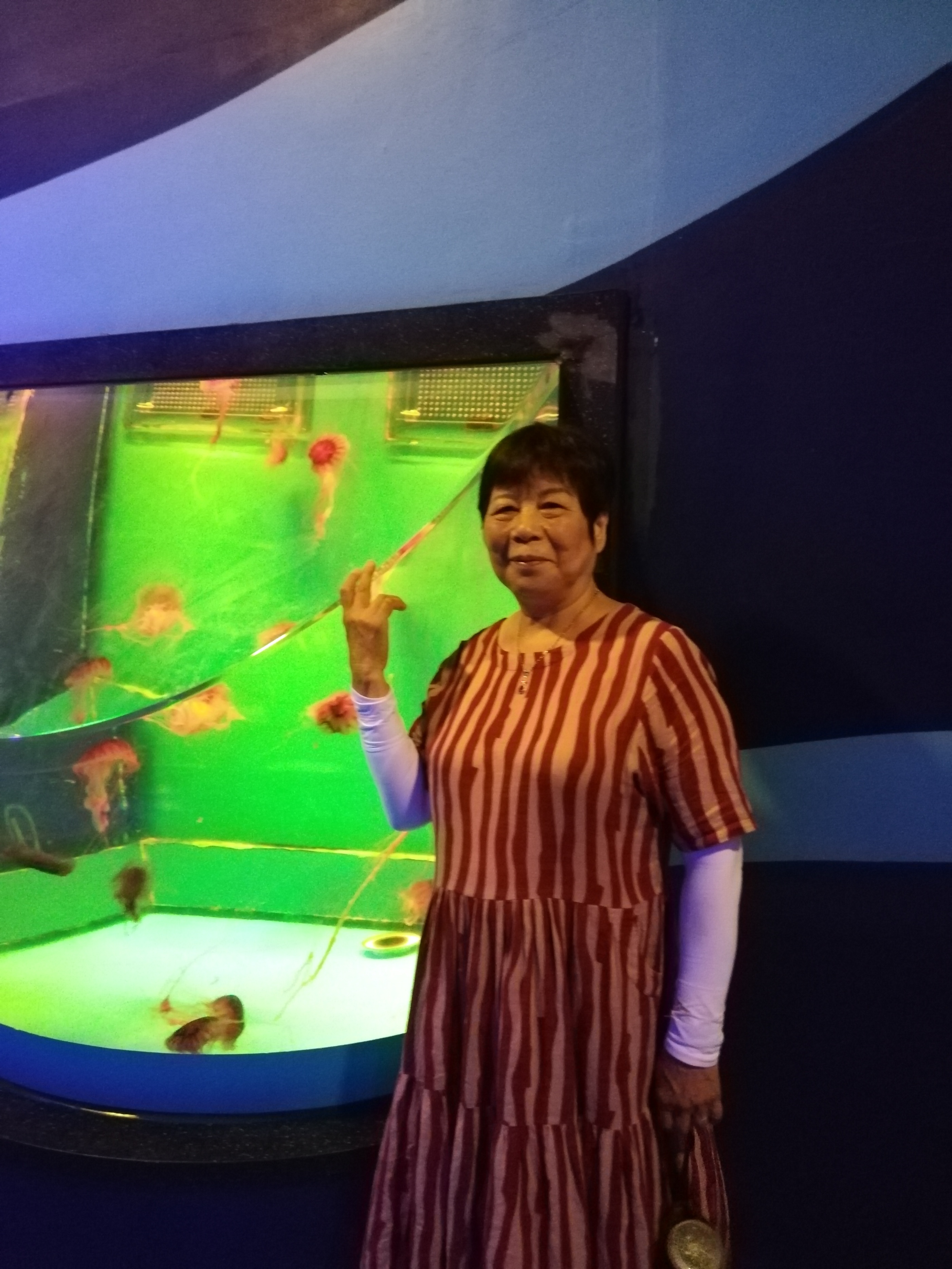 成都极地海昌海洋公园游记,成都海昌海洋公园游攻略