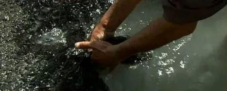 国民党转进台湾,国民党在台湾的转型发展