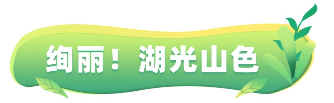 河南云台山游记,河南云台山人间仙境美如画