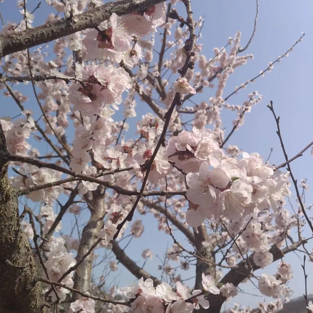 该怎样走出负债困境？