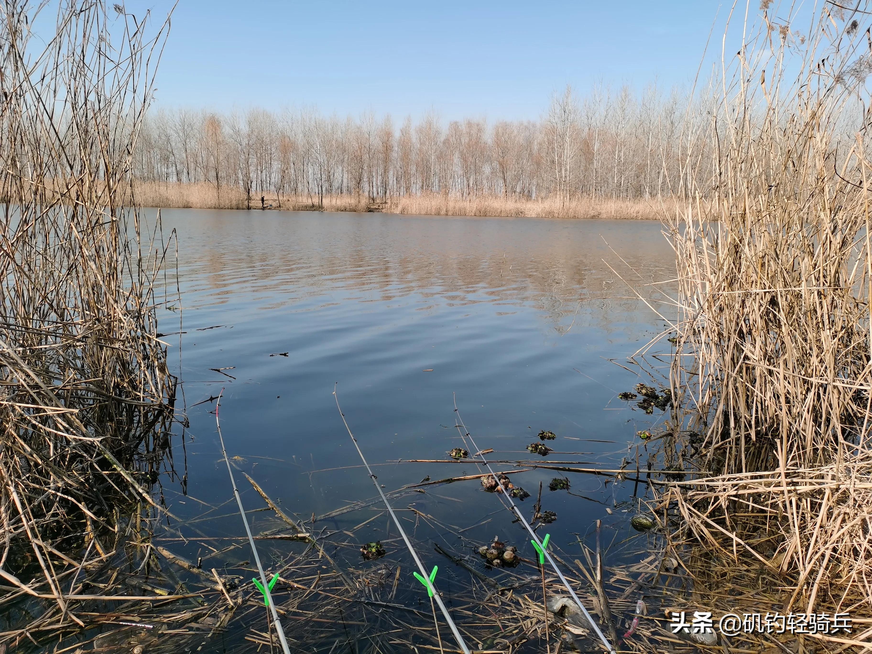 入坑钓竿,矶钓初学者入坑