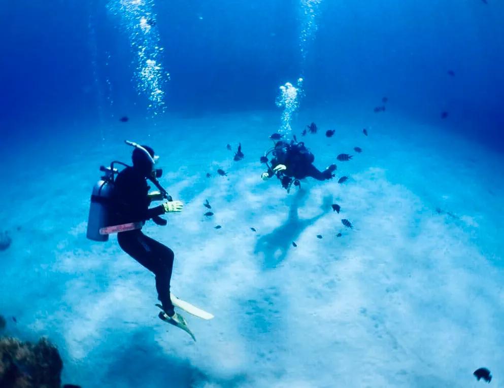 假牙掉了怎么办搞笑版,假牙掉河里怎样捞上来