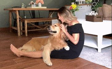 奉劝新手养狗别选这6种狗狗,这些养狗狗的诀窍你一定要知道