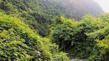 深圳瀑布在哪里,深圳有瀑布的地方有哪些