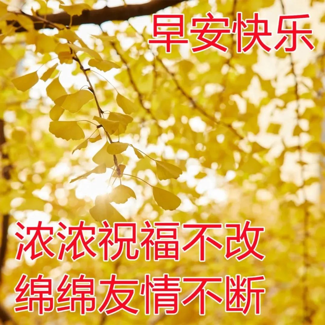 精美早上好动态表情包图片大全,最新早上好表情包动态图片大全