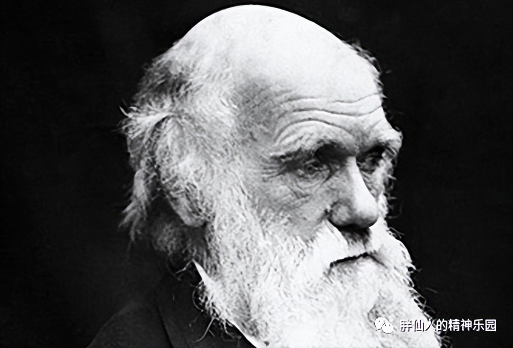 老子西方,西方眼中的老子