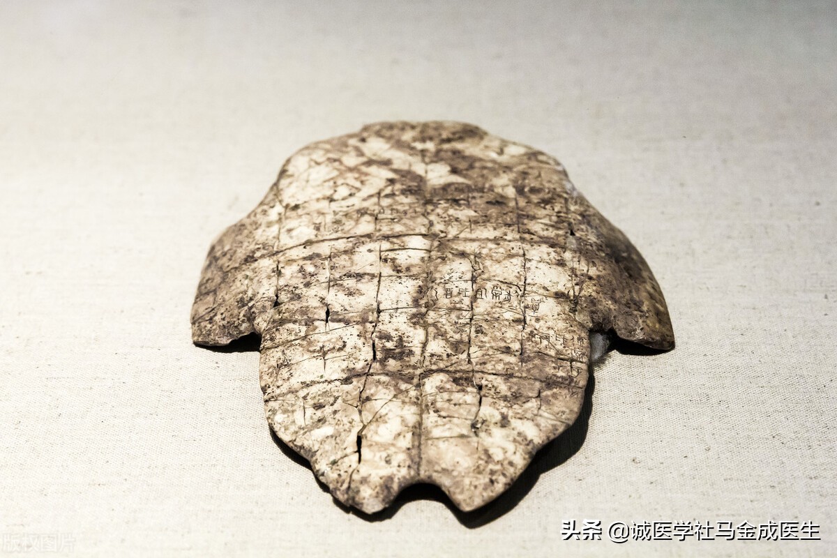 肾阴不足食疗,肾阳不足肾阴亏虚吃什么中药