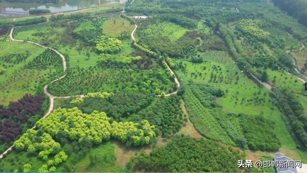 峰峰网红打卡地,寓教于玩幼儿园