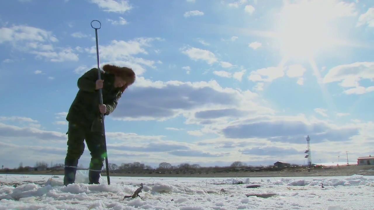 一条鱼价值25万，鱼肚子里藏“黄金”，东北老汉年赚千万财富