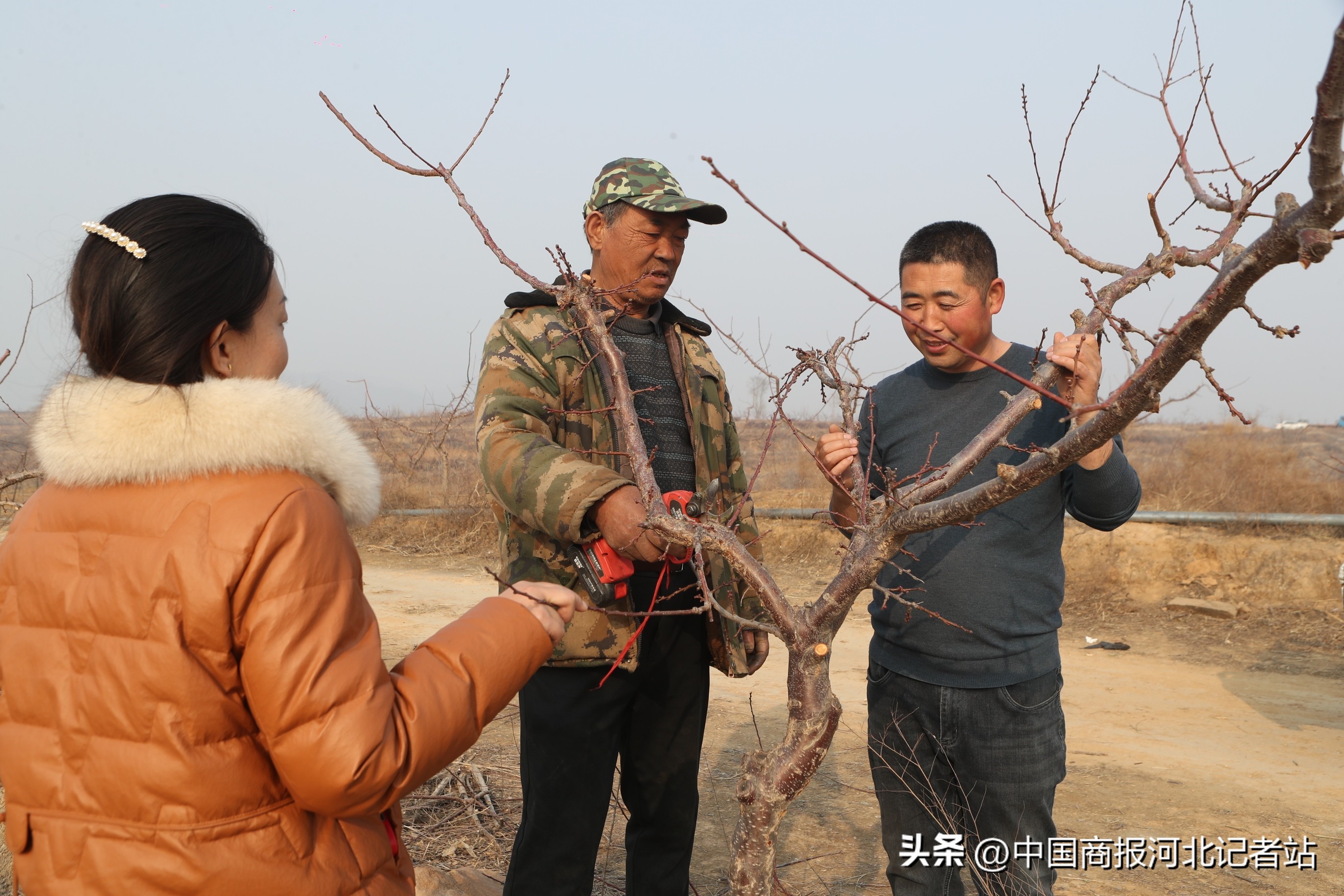 河北省保定市徐水区保定农场,保定市博士农场