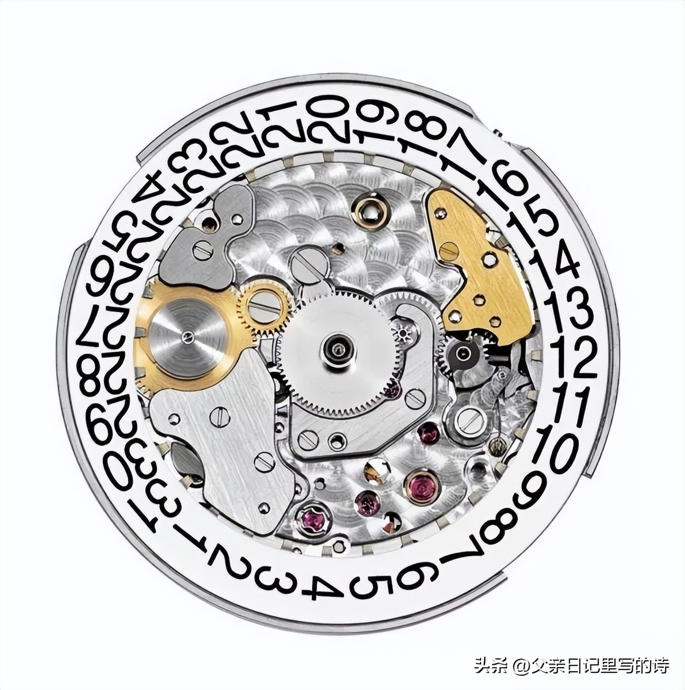 pp鹦鹉螺腕表,鹦鹉螺手表哪一款好看